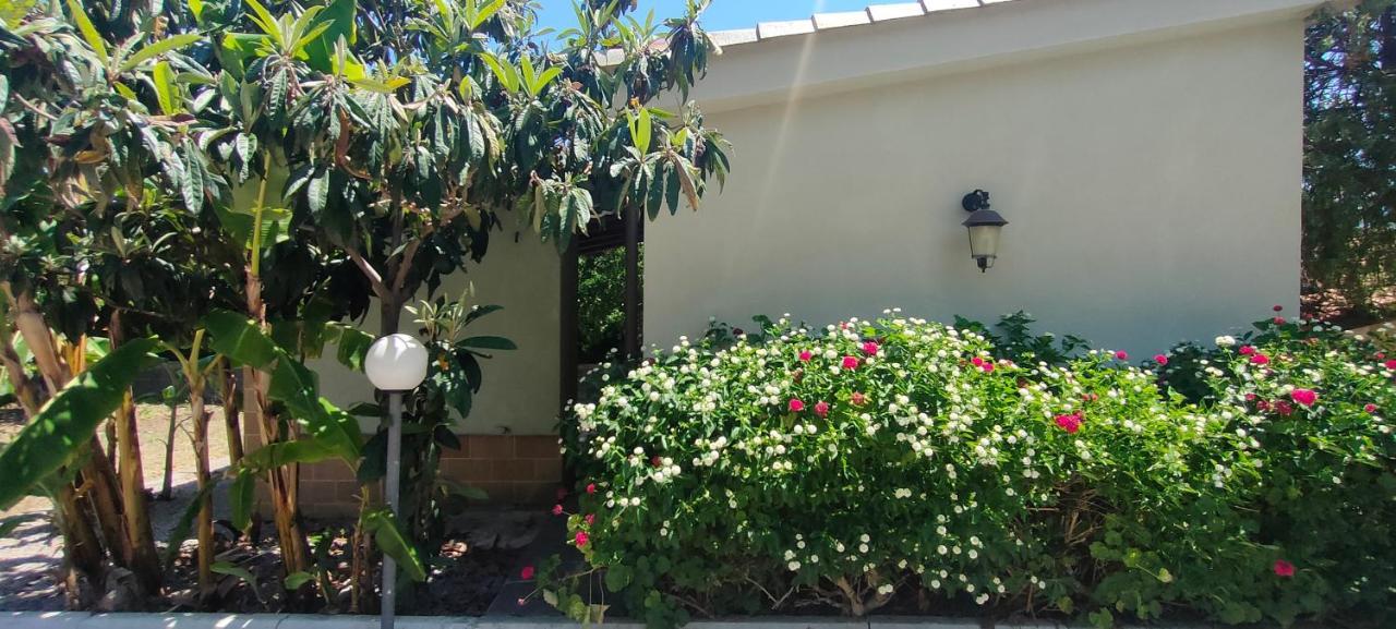 Sicily By Dreams Villa Campofelice Di Roccella Exterior photo